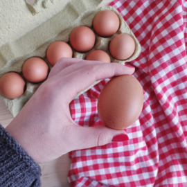 Bio Eier Maisach